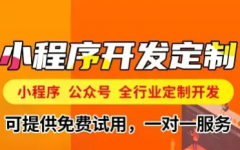 系统软件、应用软件、网站开发、微信小程序