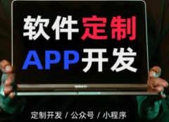 小程序/软件定制开发/资深团队一对一服务