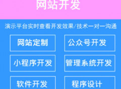 网站建设、小程序制作开发、独立源码交付