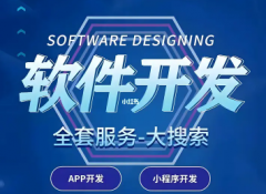 软件定制开发、APP开发